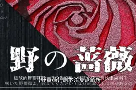 《野蔷薇》剧本杀复盘解析测评#剧本杀 #剧本杀推荐视频封面