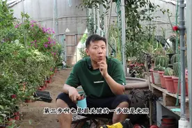 怎么才能养好花？总共分6步，都学会就是养花高手#爱生活爱养花视频封面