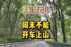#全能导游 北碚缙云山是否不让开车上山了？#旅行大玩家