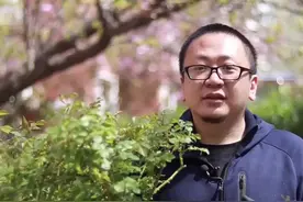 种两棵大月季放门口，效果立竿见影视频封面