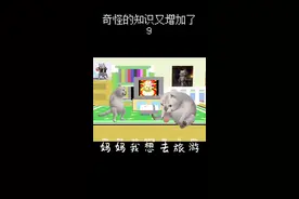 mur猫的妈妈又能有什么坏心思呢？#mur猫#沙雕