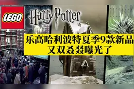 乐高哈利波特夏季9款新品曝光，钱包拜拜！#乐高 #乐高积木视频封面