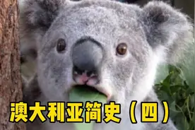 澳大利亚跟着英国去攻打土耳其，结果差点被团灭，从此清醒了。￼视频封面