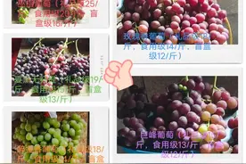 自助采摘门票是20每位视频封面