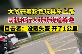 危险！大爷把玩具车开上马路，吓坏了过路司机行人视频封面