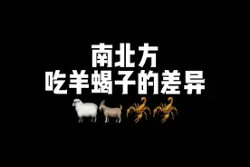 你吃过羊蝎子吗？这简直是我在北京最爱吃的东西了#南北差异 #美食 #一定要看到最后