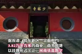 河南少林寺进军房地产？铁嵩科技4.52亿元买地，方丈释永信实控18家企业视频封面