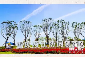 重庆未来“最强大脑”之一，#两江新区明月湖畔，目前已聚集大学大院大所累计30所#重庆dou知道#看效果大江奔流视频封面