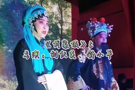 #湖南花鼓戏刘伏英 今晚明天下午晚上泗湖山共三场现场戏