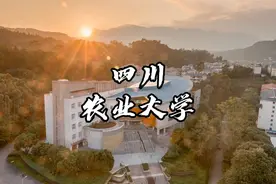 四川农业大学雅安校区。 #四川农业大学  #川农视频封面
