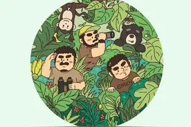 熊熊丛林探险家🌻#络腮胡 #原创插画 #熊熊 #有趣的知识又增加了