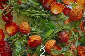 荔枝壳都能干嘛？你听我说。。。#荔枝壳 #荔枝香 #荔枝碳 #跟着抖音学做菜 #夏天的味道 视频封面