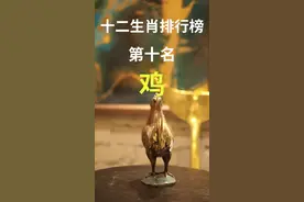 你知道为什么鸡和狗在一起总是不宁吗？ #dou出新知  #十二生肖