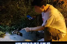 在外面碰到这种蜗牛，千万不能碰，不能吃，不能养！#科普 #在博鳌dou健康视频封面