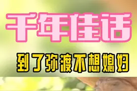 #大理 #家乡 你觉得到了弥渡为什么不想媳妇呢？