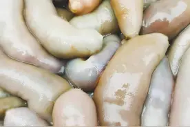 海肠营养价值和海参差不多味道绝了 海肠炒韭菜大补啊视频封面