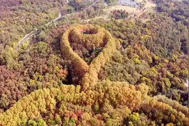 一夜入秋南京 就变成了金陵一个传说 一份留恋化为链