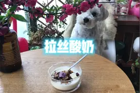 我常用的酸奶配方，最近试了高倍奶（厚乳），吃起来像奶酪