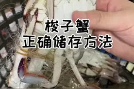 梭子蟹的正确储存方法视频封面