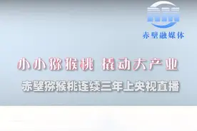 刚刚央视直播——赤壁小小猕猴桃，撬动大产业👏#丰收季 #抖音小助手 @赤壁融媒体