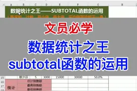 文员必学，数据统计之王subtotal函数的运用。#excel #office办公技巧 #wps #电脑 #表格 #教程 #办公室 #职场