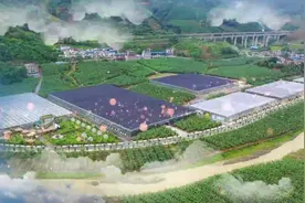 贵州省农科院科技特派员脱贫攻坚纪实(上） #多彩贵州相约2020视频封面