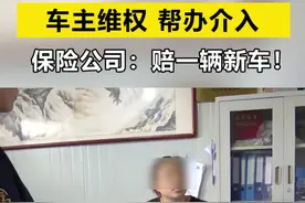 山东德州，保险公司回应：把涉水车开进修理厂是为了替车主减少损失...反复沟通后承诺赔一辆新车（2）#大地保险 视频封面