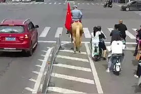 山东德州，大叔手举国旗骑马上路，“硬核”为祖国庆生！#有安全更团圆 @德州交警 视频封面