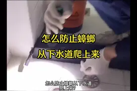 家里的蟑螂从哪儿来的？怎么防止蟑螂从下水道爬上来？视频封面