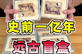 史前1亿年的盲盒，你们猜我开出了什么？  #盲盒  #测评  #这条视频有点料视频封面