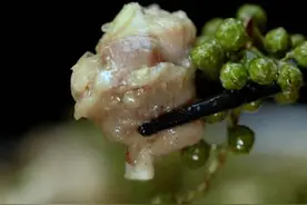 小白兔这样做，肉质嫩滑、清香麻辣#花椒兔 #真材实料才能做出好味道 视频封面