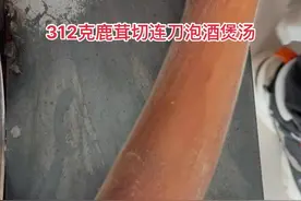 312克鹿茸切连刀泡酒煲汤#鹿茸#煲汤#泡酒#养生@DOU+小助手 @巨量千川视频封面