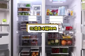 沉浸式冰箱收纳，一点空间也不浪费#冰箱收纳 #收纳整理视频封面