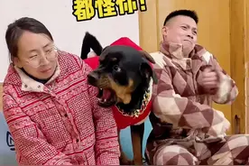 别管是谁打谁，反正咬母老虎就对了😂#萌宠出道计划