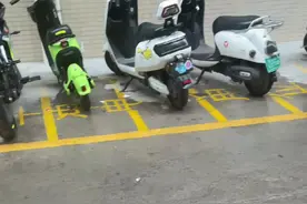 明明有影响的人是我，他咋还这么理直气壮！#搞笑视频 #生活搞笑趣事 @粤西子龙（卖鱼佬）视频封面