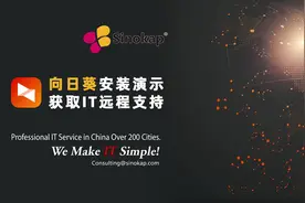 向日葵远程支持工具下载安装教程
#远程办公 #it #远程控制