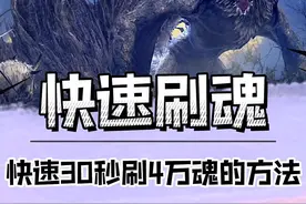 还没有人发打了龙的后果，道歉先欠着。今天攻略最快30s拿4万2魂。#艾尔登法环 #游戏精彩时刻 #主机游戏 @DOU+小助手 