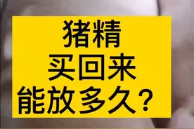 猪精买回来能放多久你知道吗？#养猪 #养猪人 @抖音短视频视频封面