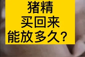 猪精买回来能放多久你知道吗？#养猪 #养猪人 @抖音短视频