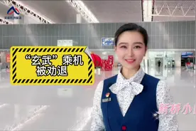 携带活体动物等其他物品的乘机规定 #乘机小知识