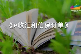 #阿里国际站 阿里国际站E收汇和信保订单视频封面
