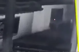 监控曝光！杭州外逃豹子与狗纠缠后跳墙离去！视频封面