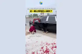 4月26日，山东济宁，主人结婚当天，狗狗在车轮前拦着婚车不让走，谁抱也不行。在场的人被这一幕感动到了。#破防了 #万物皆有灵 #狗狗  #山东dou知道 视频封面