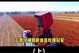 云贵川湘，谁才是吃辣冠军？#涨知识 #知识先锋计划 #科普 #科技周周 #辣椒 