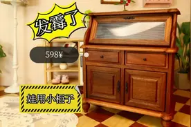 花598块给娃娃买的柜子居然发霉了！#娃物 #bjd娃物 #blythe娃物视频封面