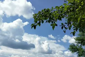 “算了”#文字意义