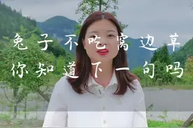 兔子不吃窝边草，下一句估计大部分人都没有听过#湖北星旅播 #恩施旅游攻略 #俗语视频封面