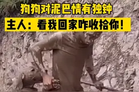 主人 #遛狗 被带进泥坑，拖鞋说明刚刚发生了什么 #萌宠