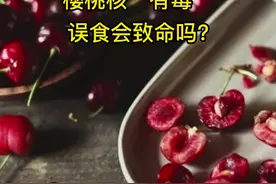 真相！ 樱桃核“有毒药”，误食会致命吗?#科普 #水果 #车厘子自由 #车厘子 #揭露真相 #食品安全 #水果自由 视频封面