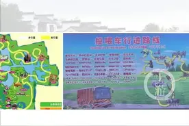 最新！上海野生动物园熊群致人死亡调查报告公布！ #上海野生动物园一饲养员被熊群咬死视频封面